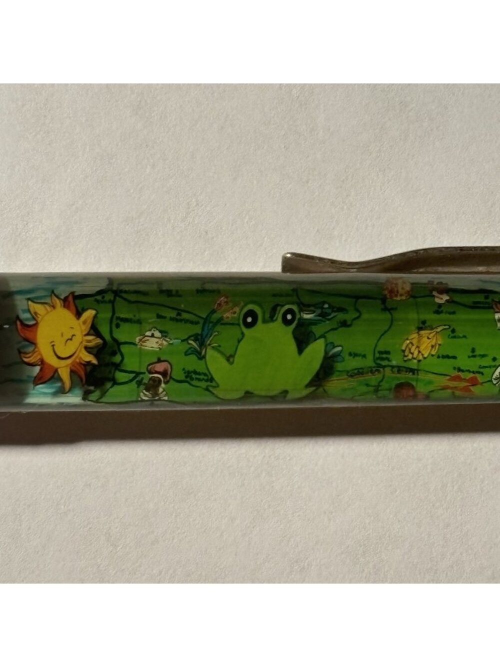 Puerto Rico Floaty Pen El Coqui Green Frog Moves by Island Map Aerial View Sun